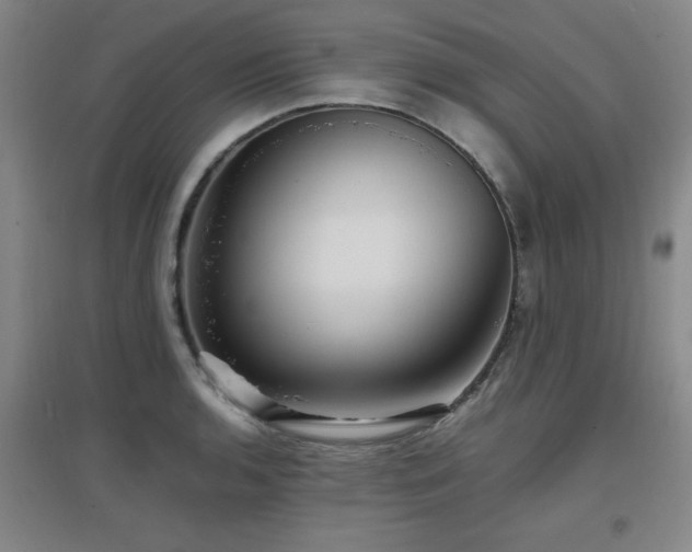 X0000097661136200802291420