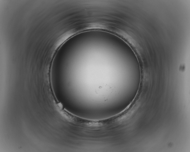 X0000097661137200802291420