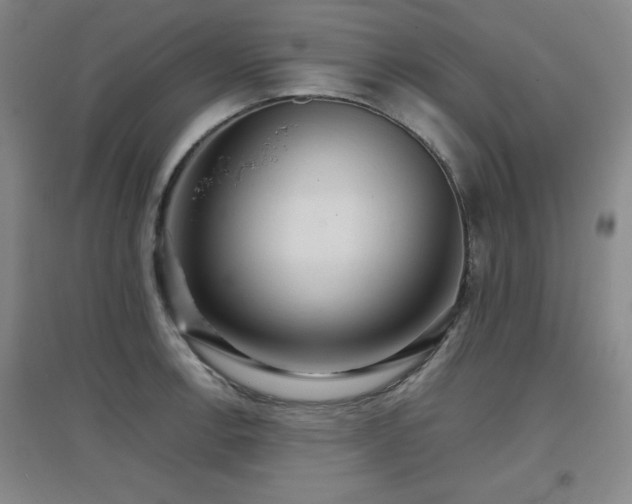 X0000097661138200802291420