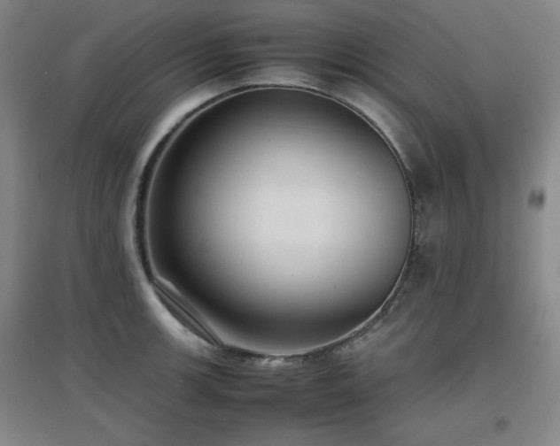 X0000097661139200802291420