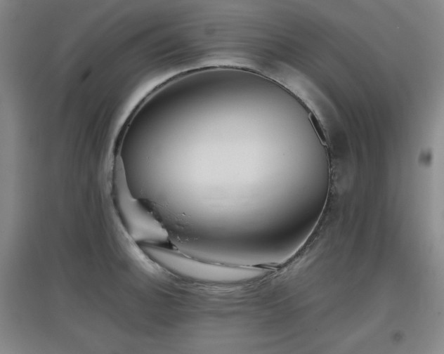 X0000097661140200802291420