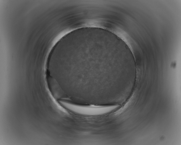 X0000097661141200802291420