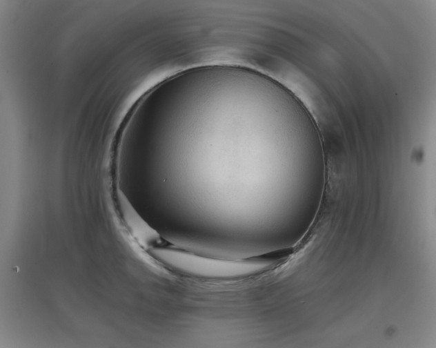X0000097661142200802291420