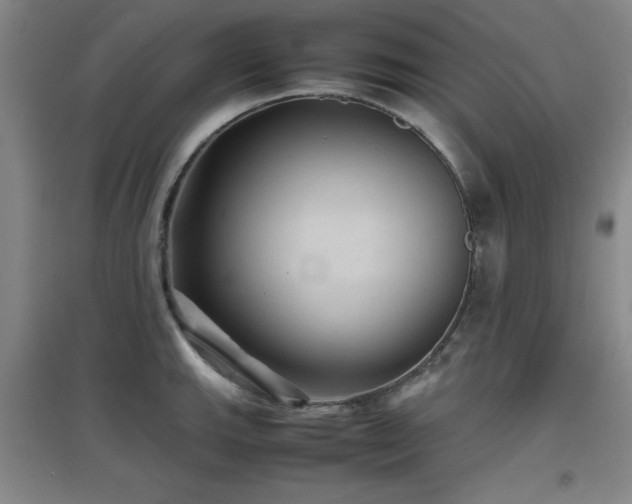 X0000097661143200802291420