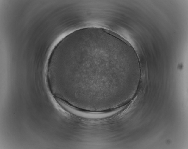 X0000097661144200802291420