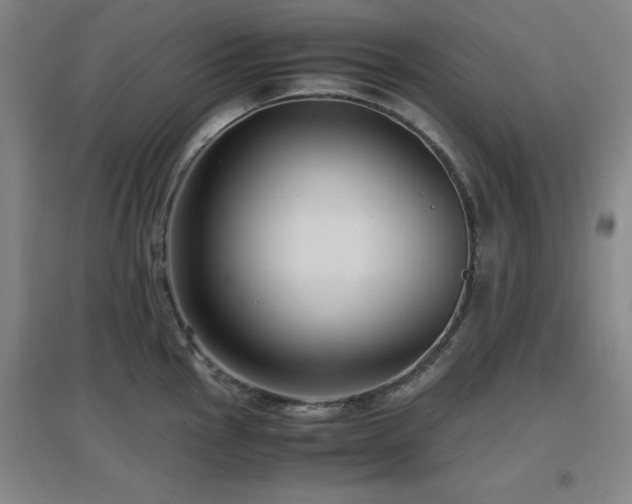 X0000097661145200802291420