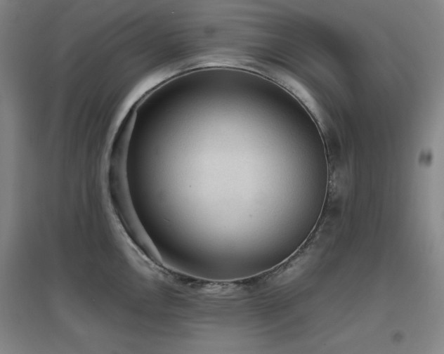 X0000097661146200802291420