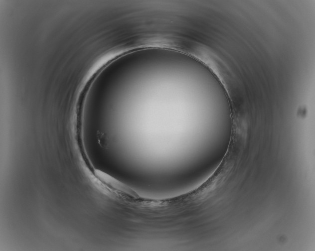 X0000097661147200802291420