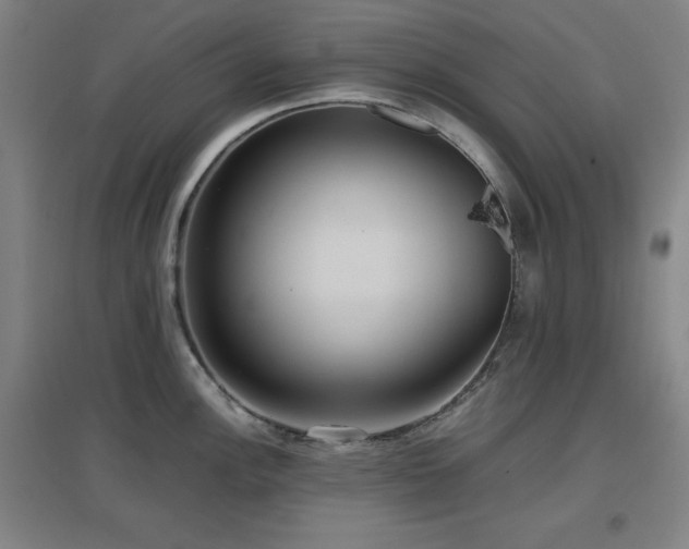 X0000097661148200802291420