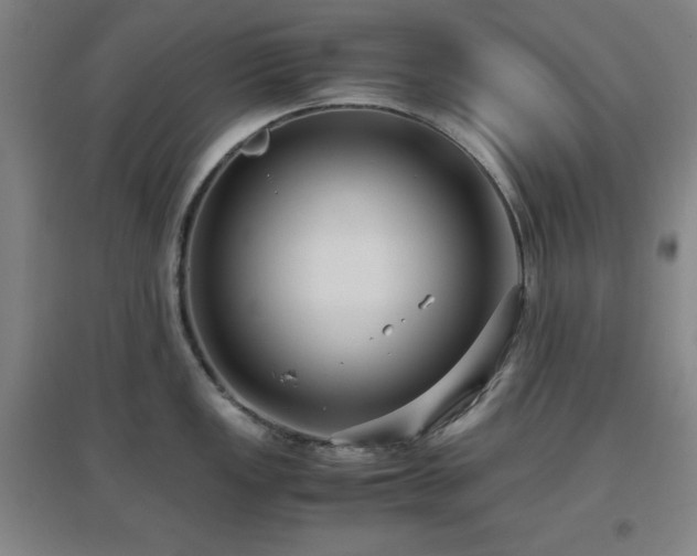 X0000097661149200802291420
