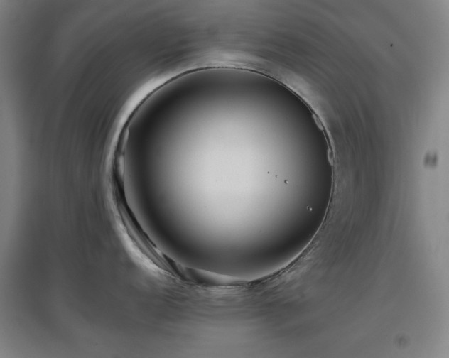 X0000097661152200802291420