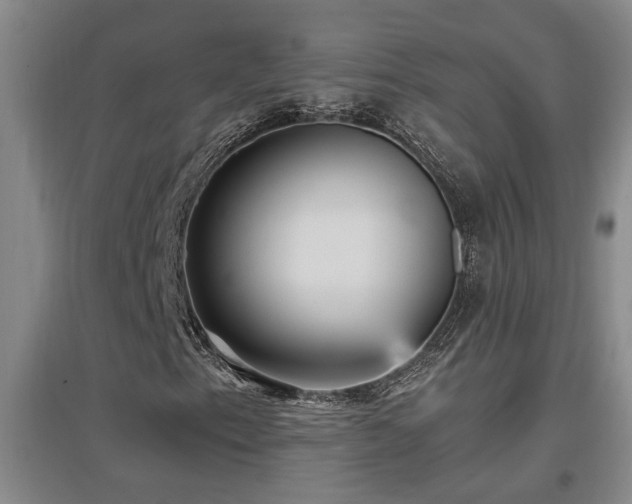 X0000097661153200802291419