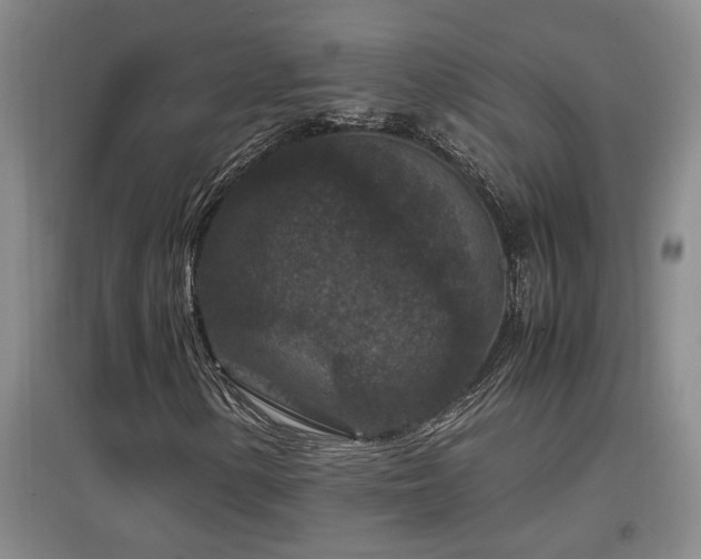 X0000097661154200802291419