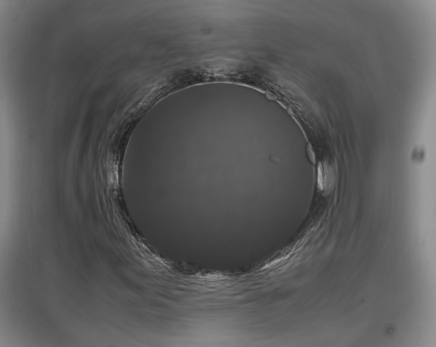 X0000097661155200802291419