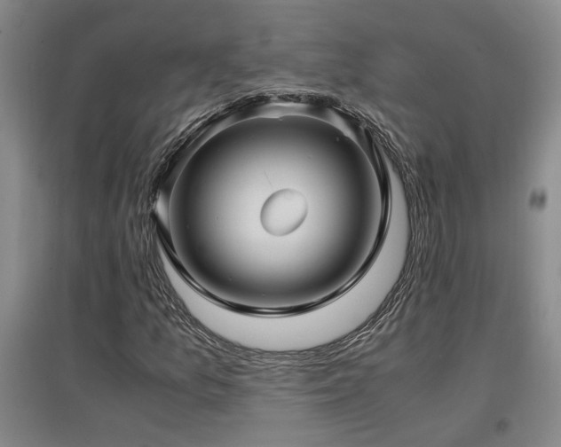 X0000097661157200802291419