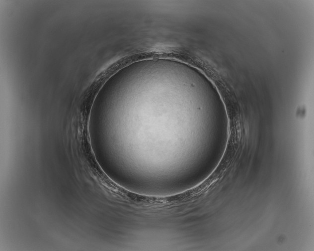 X0000097661158200802291419