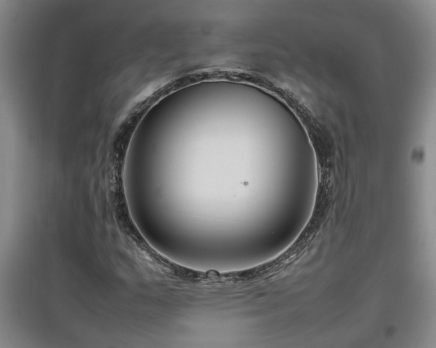X0000097661159200802291419