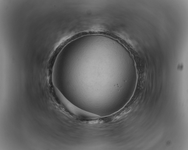 X0000097661160200802291419