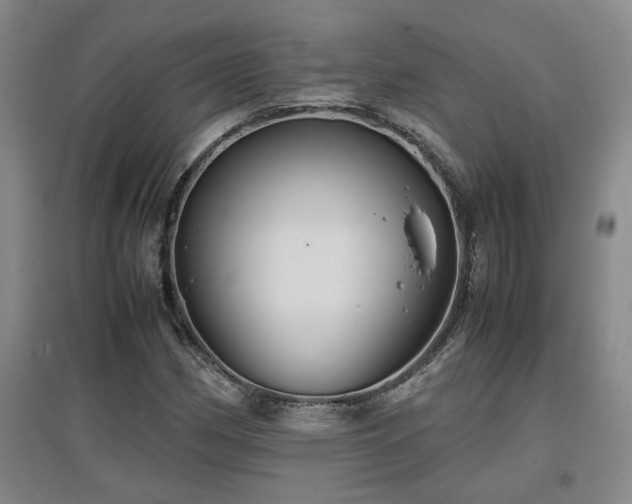 X0000097661162200802291419