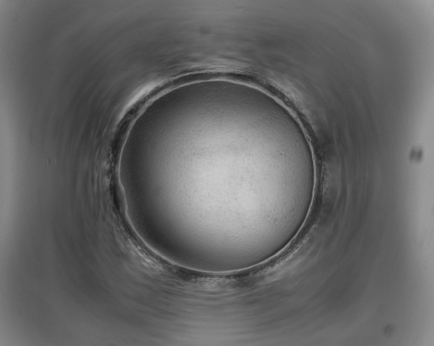 X0000097661163200802291419
