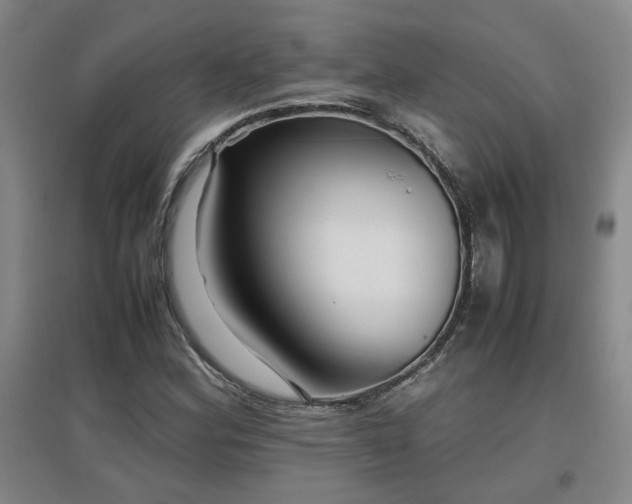 X0000097661164200802291419
