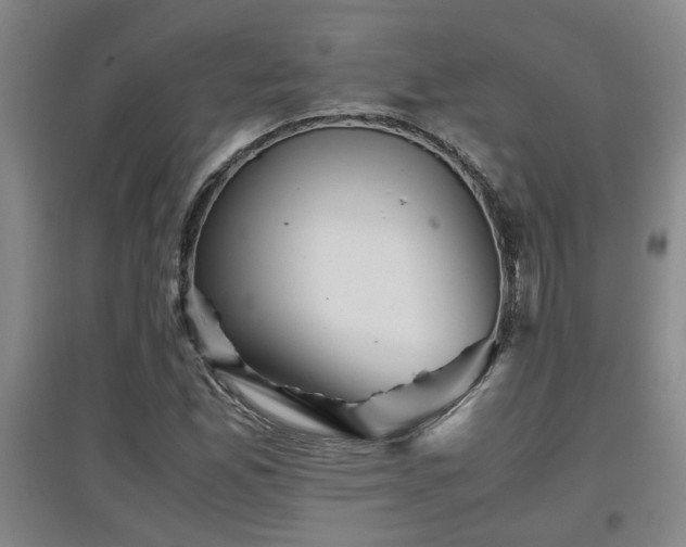 X0000097661165200802291419