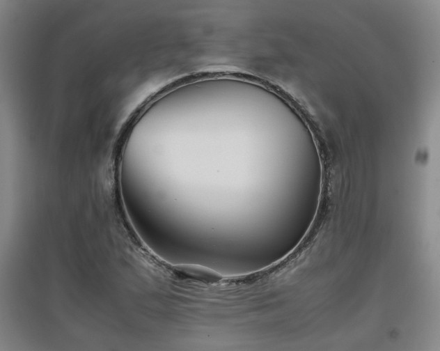 X0000097661167200802291419