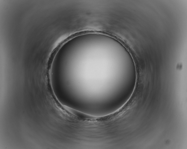 X0000097661168200802291419