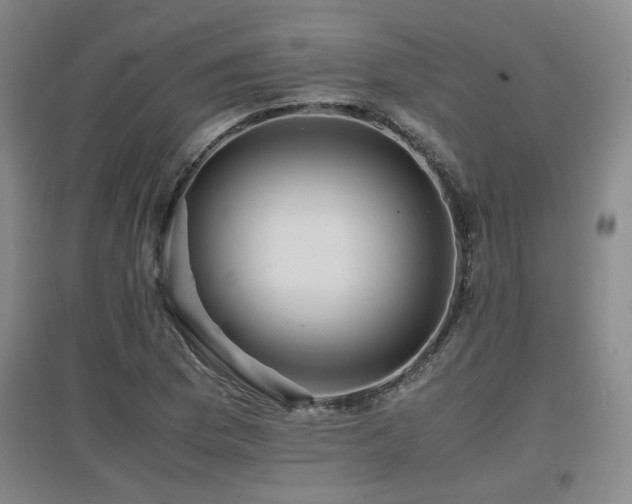 X0000097661169200802291419