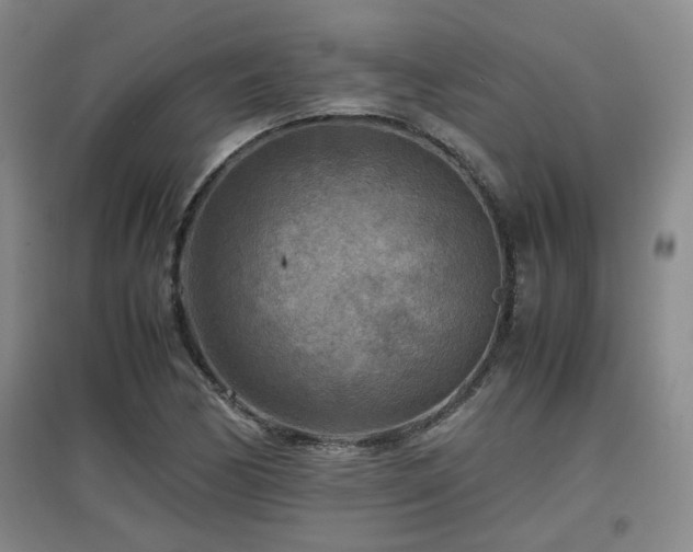 X0000097661170200802291419