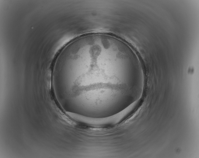 X0000097661171200802291419