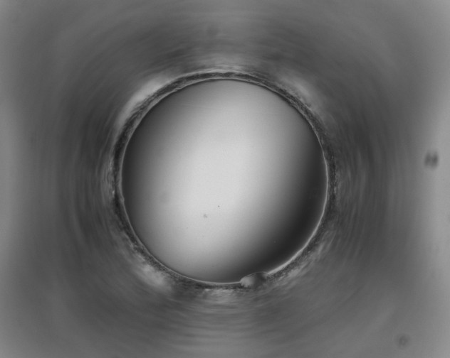 X0000097661172200802291419