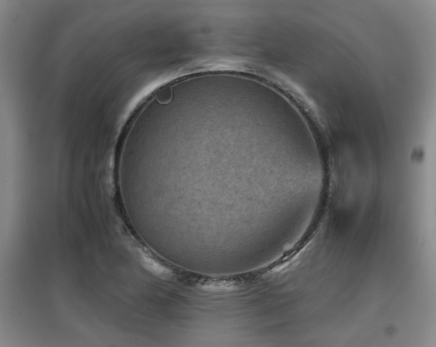 X0000097661174200802291419