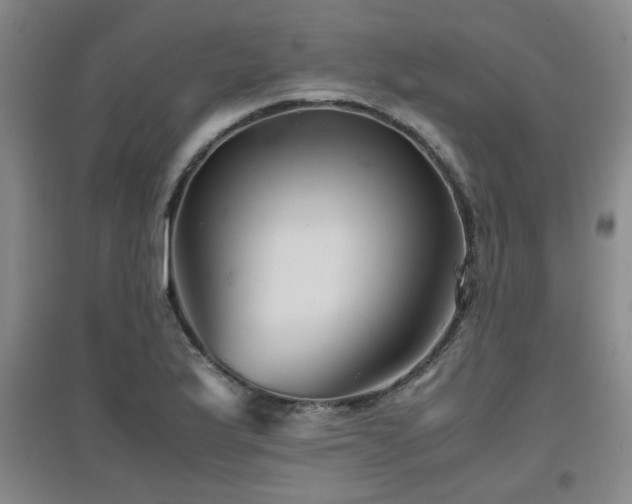 X0000097661175200802291419