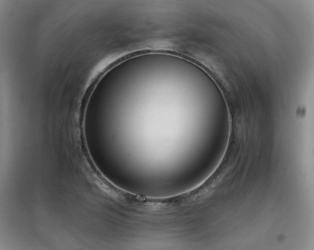 X0000097661176200802291419