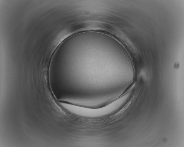 X0000097661177200802291419