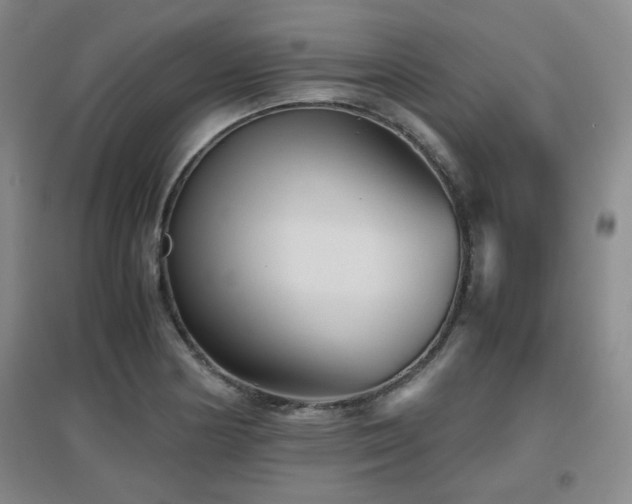 X0000097661178200802291419
