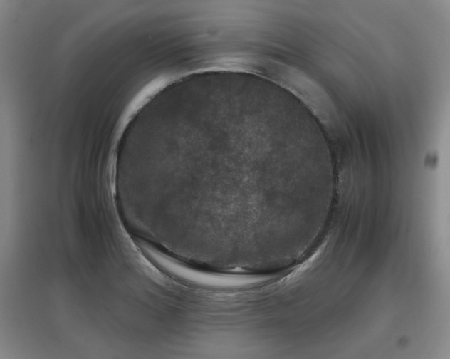 X0000097661180200802291419
