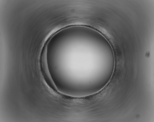 X0000097661181200802291419