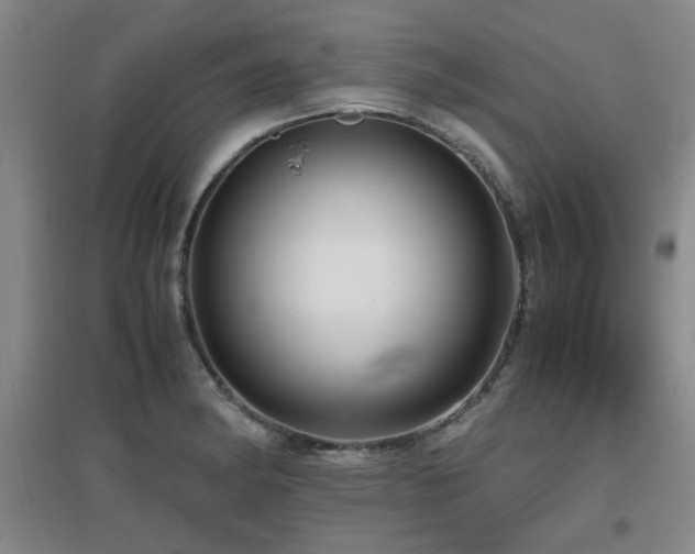 X0000097661182200802291419