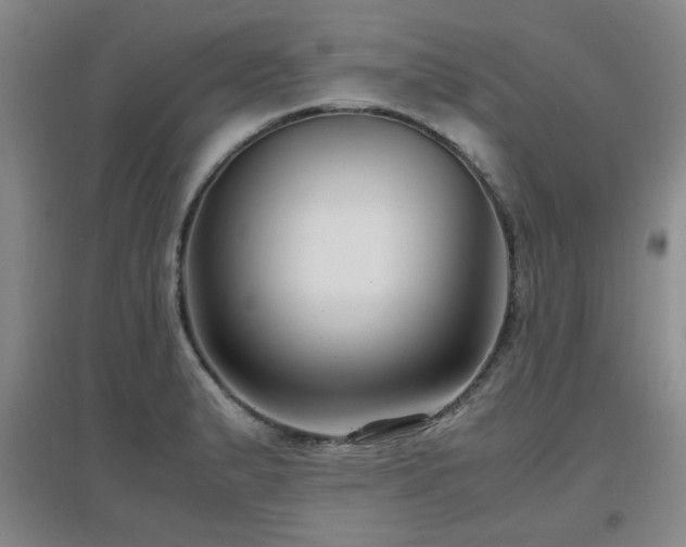 X0000097661183200802291419