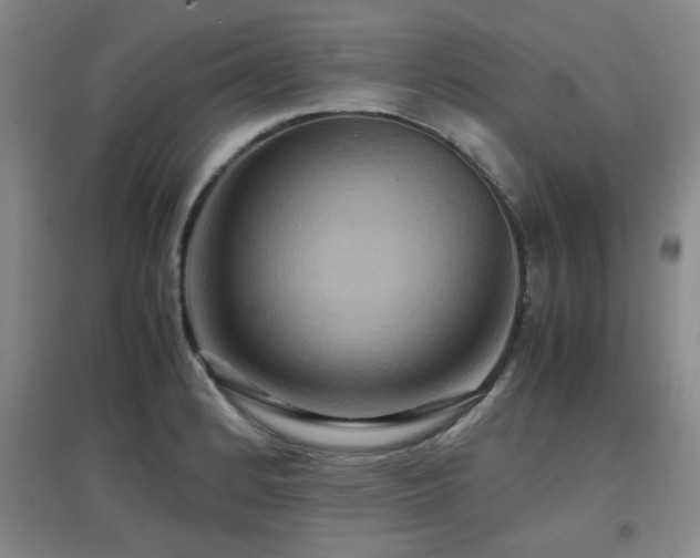 X0000097661184200802291419