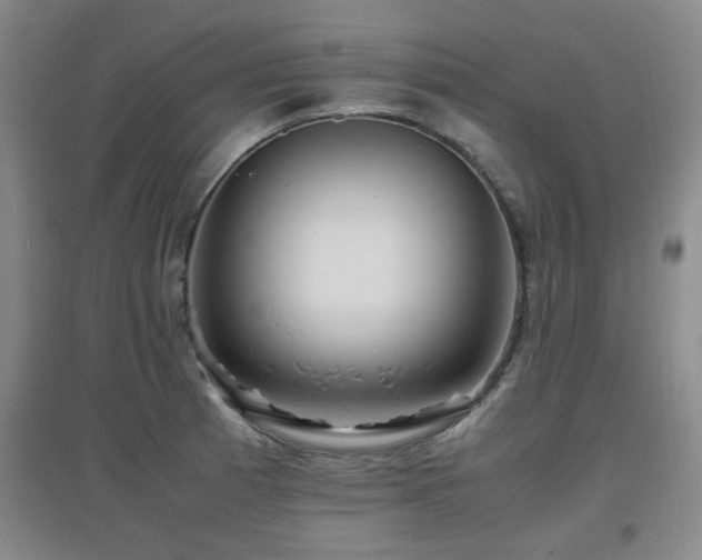 X0000097661185200802291419