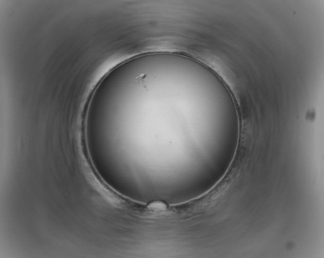 X0000097661187200802291419