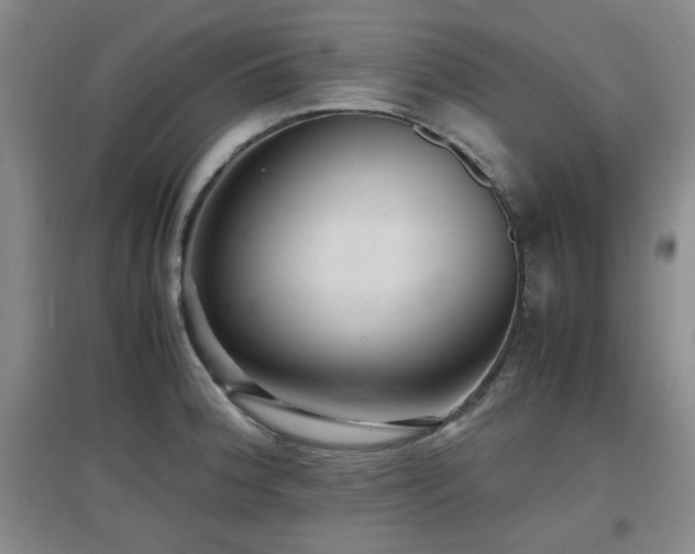 X0000097661188200802291419