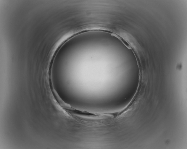 X0000097661189200802291419