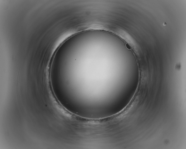 X0000097661190200802291419