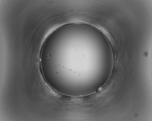 X0000097661191200802291419