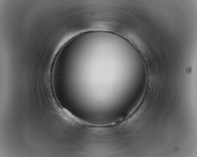 X0000097661192200802291419