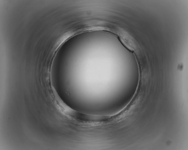 X0000097661193200802291419